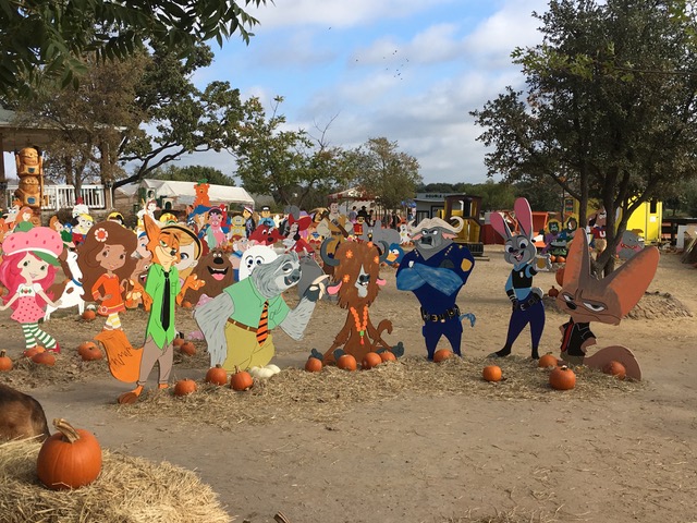 Flower Mound Pumpkin Patch opens Sunday