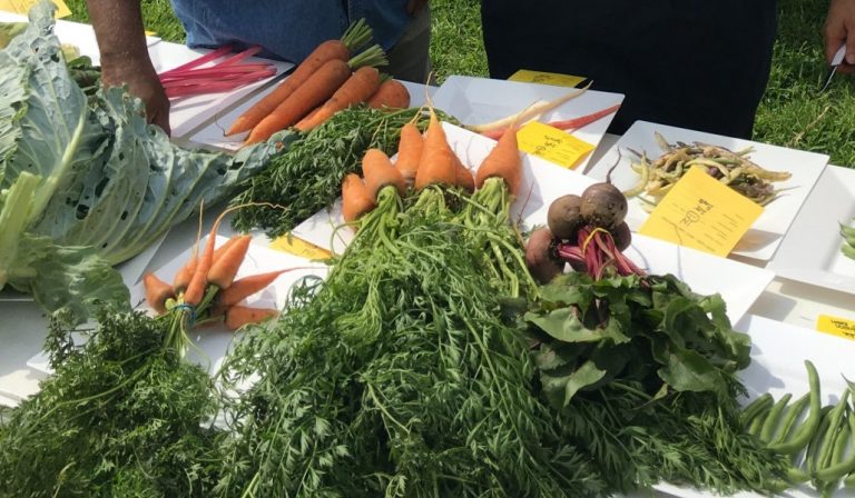 Make a healthy choice – choose fruits and vegetables