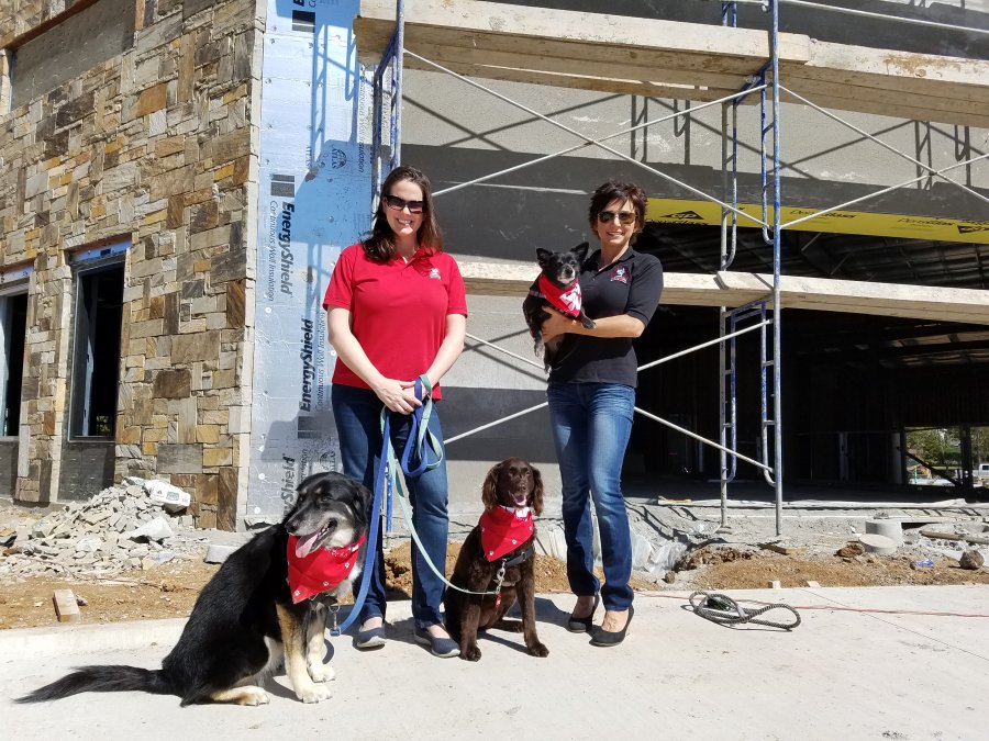 New Doggie Daycare Will Wow You