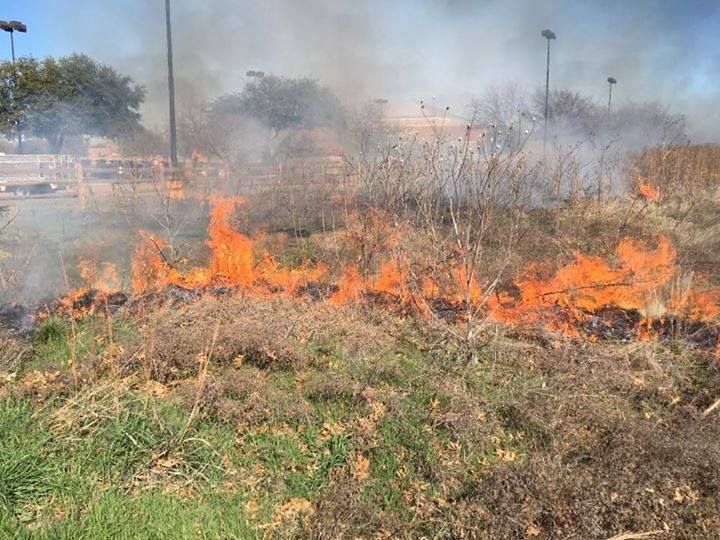 Denton County lifts burn ban