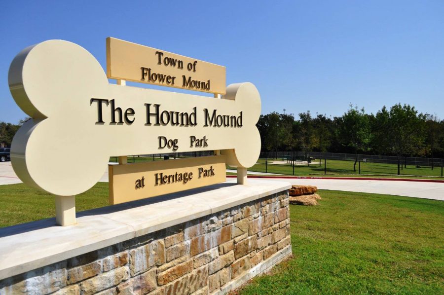 Flower Mound Animal Services to hold pet registration event - Cross Timbers Gazette | Southern Denton County | Flower Mound | News Flower Mound Animal Services to hold pet registration event - Cross Timbers Gazette | Southern Denton County | Flower Mound | News