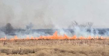 Denton County issues mandatory burn ban