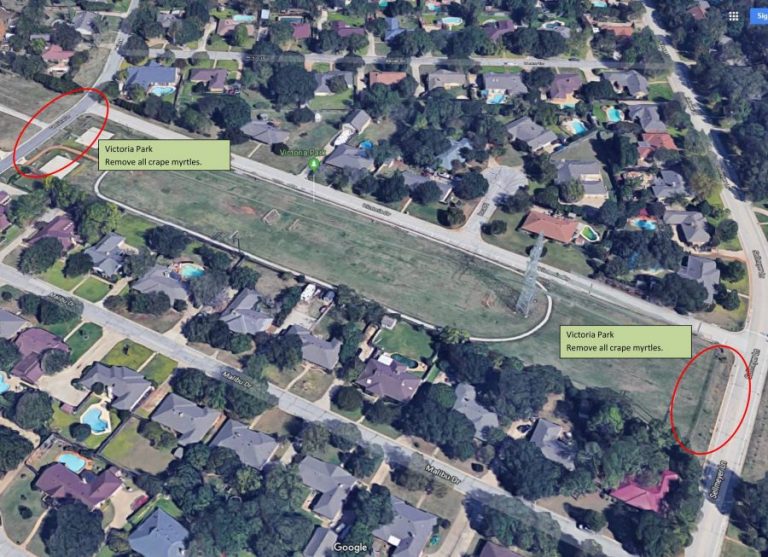 Oncor removing trees from Highland Village easements