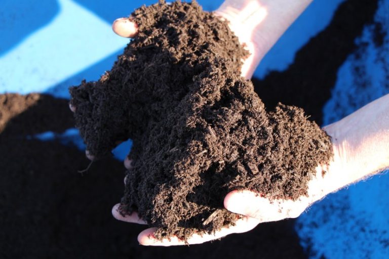 Compost – Feed Your Soil