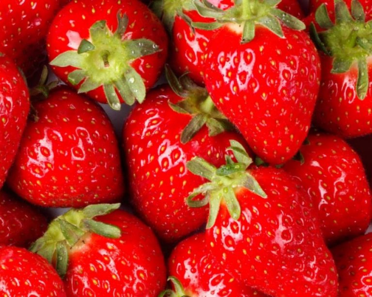 Gardening: Succulent Sweet Strawberries