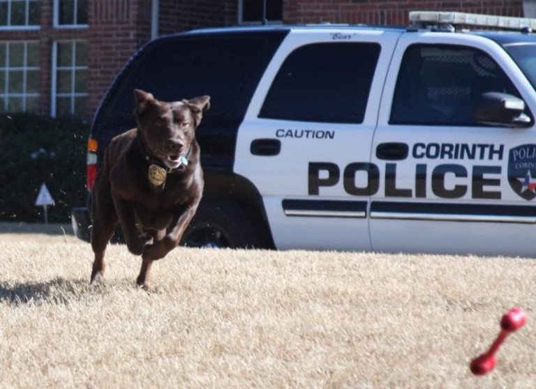 Former Corinth PD K9 dies
