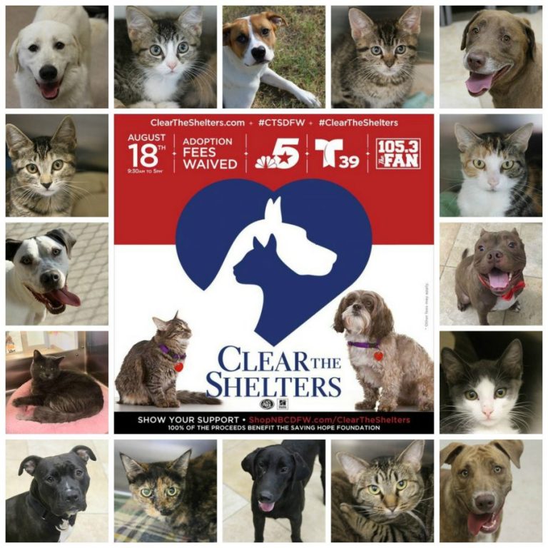 Help Flower Mound ‘Clear the Shelter’ on Saturday