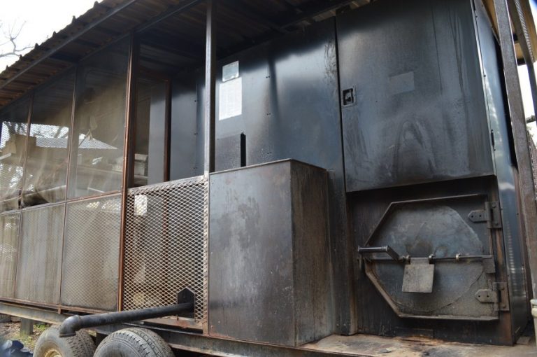 Friendly rumble comes To Bumbershoot