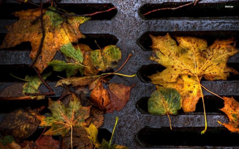 Flower Mound asks residents to help stop leaf pollution