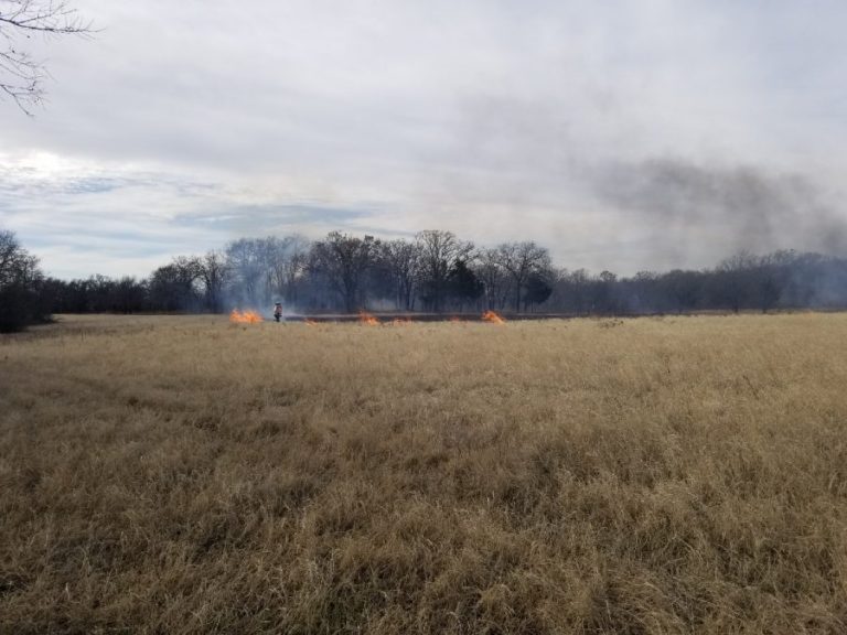 Firefighters douse 8-acre grass fire in west Flower Mound