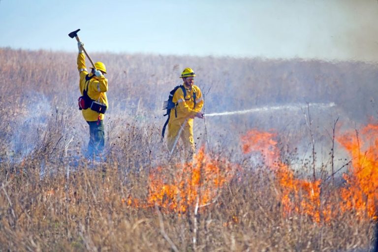 Fire Department to conduct prescribed burn on The Flower Mound