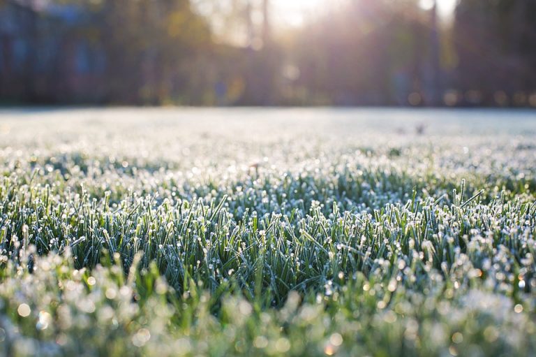 Freeze Warning issued for Denton County