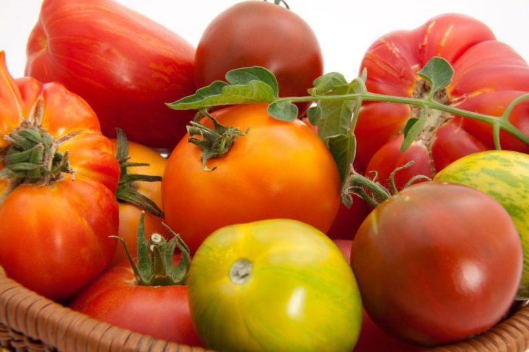 Um-um, good homegrown tomatoes