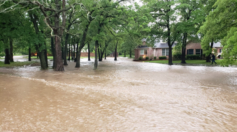 Flash flooding swamps Argyle neighborhood