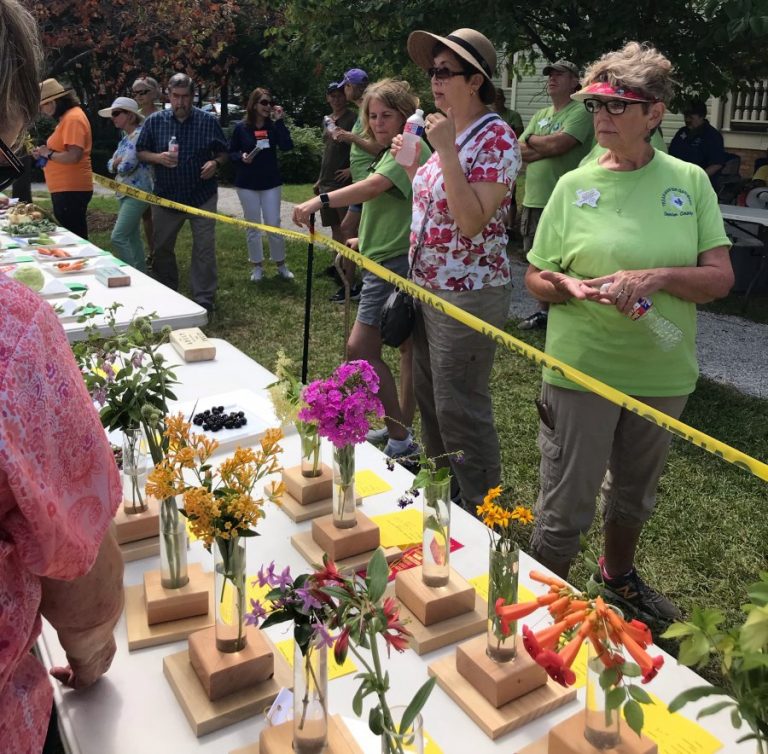 Denton County fruit, vegetable, herb and flower show set