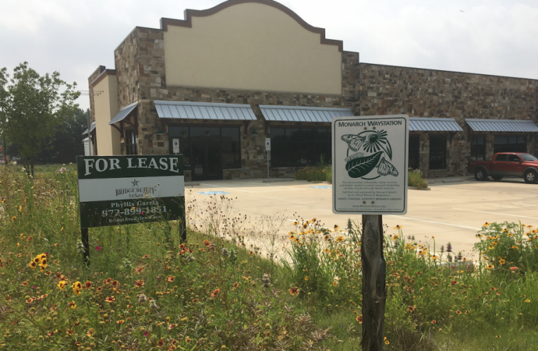 Prairie Commons to hold ribbon-cutting on new, unique development