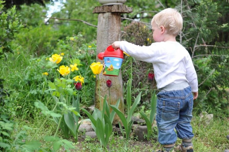 How to grow a gardener