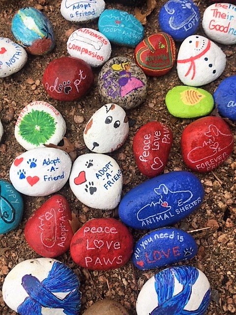 Flower Mound Animal Services hosting rock painting event