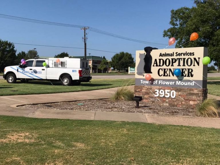 Clear the Shelters begins