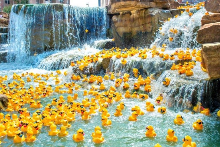Adopt a duck ahead of the 6th annual Duck Derby at the Flower Mound River Walk