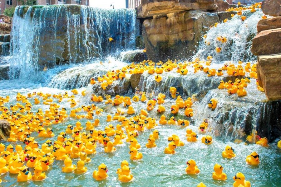 Annual rubber duck race coming to River Walk next week - Cross Timbers Gazette | Southern Denton County | Flower Mound | News