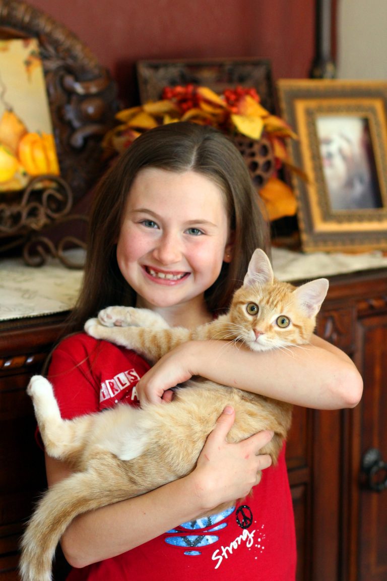 Local family adopts 3-legged kitten found near death