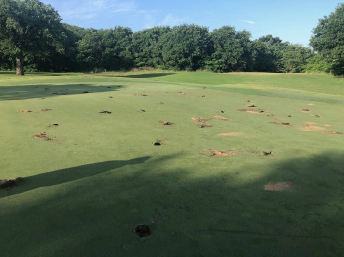 Sheriff’s Office investigating damage to Lantana golf course