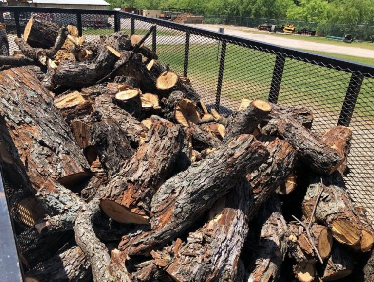 Pecan tree wood to be distributed Saturday