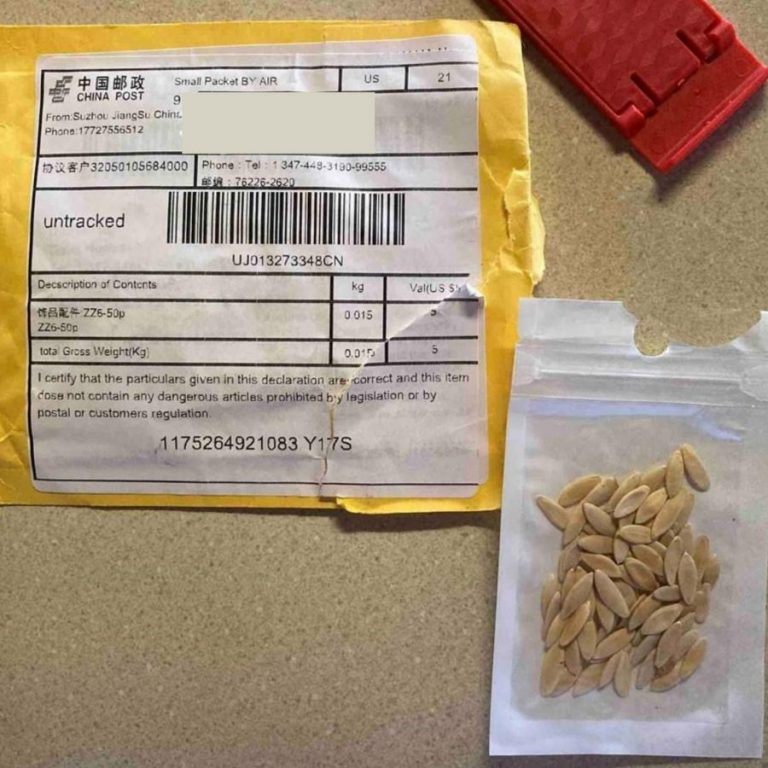 Don’t plant unsolicited seeds from China, officials urge