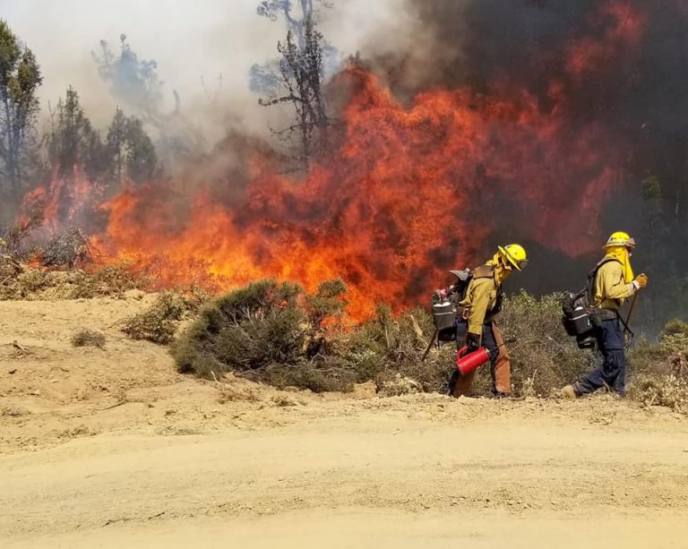 Flower Mound firefighters return from California wildfires