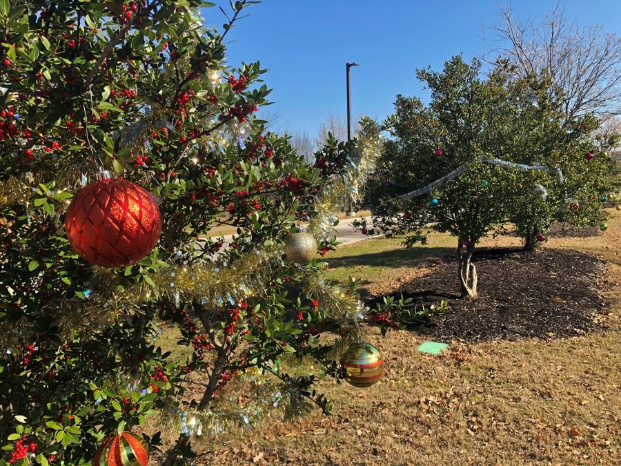 Burgerim coming to The Shops at Lakeside - Cross Timbers Gazette, Southern  Denton County, Flower Mound