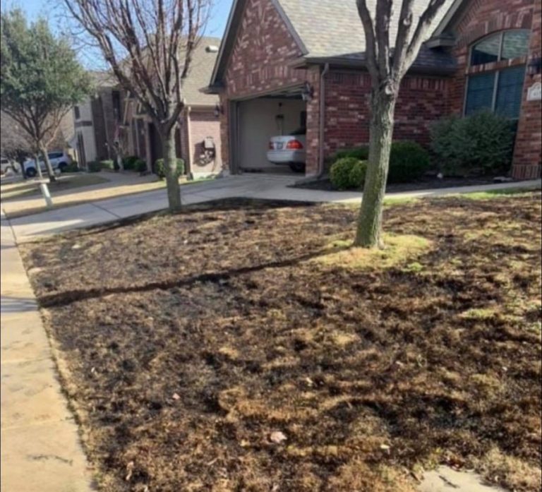 Discarded cigarette starts fire in Roanoke neighborhood