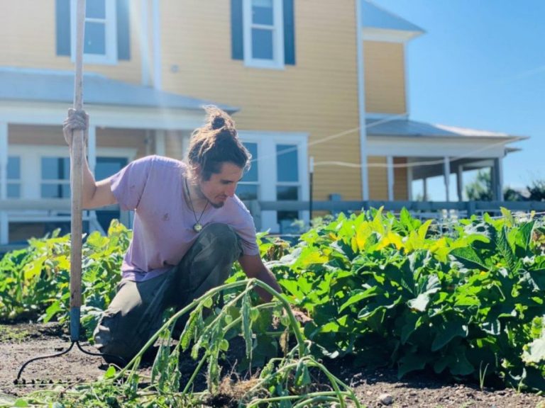 Harvest Happenings — April 2021