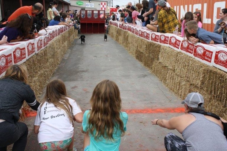 Weenie Dog Race, costume contest coming to Denton