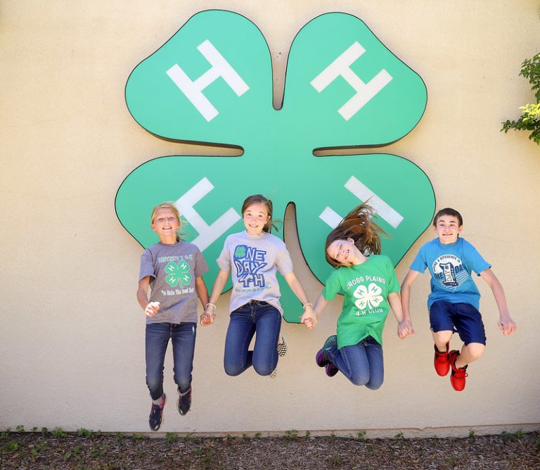 AgriLife: So, how does one join 4-H?
