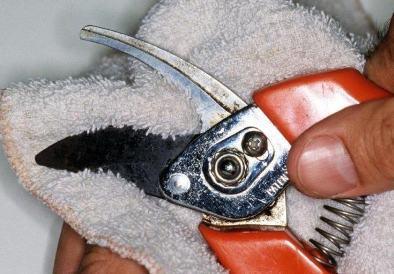 Gardening: Winterizing Garden Tools