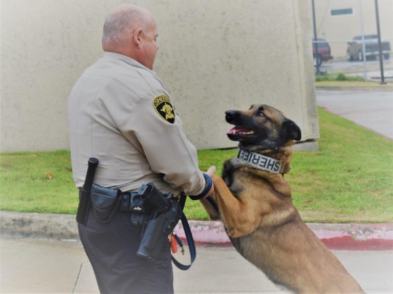 Lantana Crime Watch — February 2022