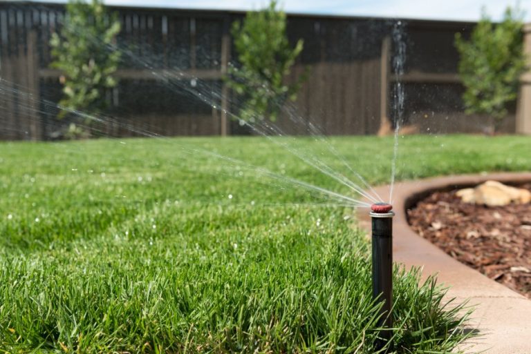 Denton County’s water provider urges residents to reduce outdoor watering