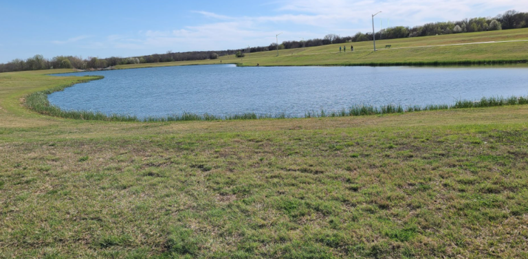 Swimmer rescued from pond in south Denton park