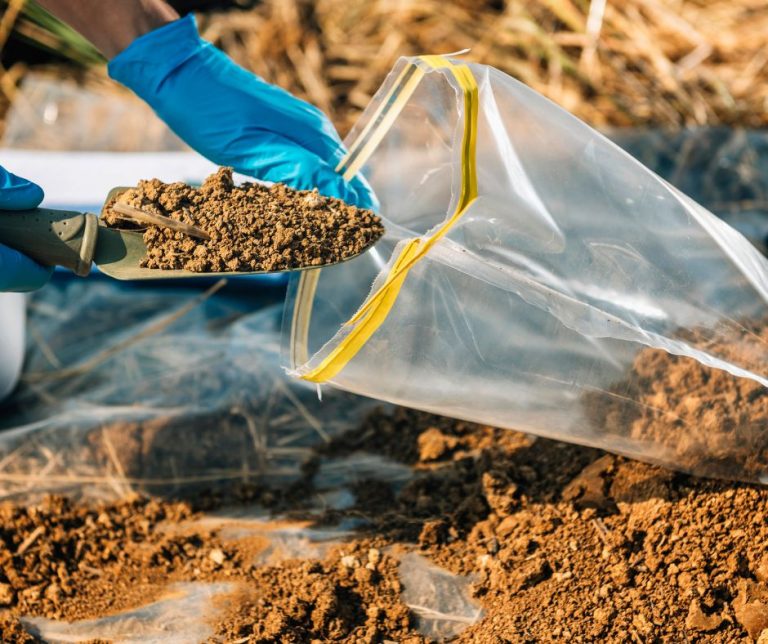 AgriLife: Uncover the mysteries underground