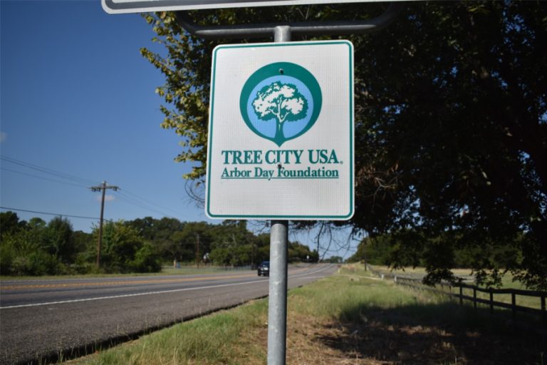 Events in southern Denton County to celebrate Texas Arbor Day