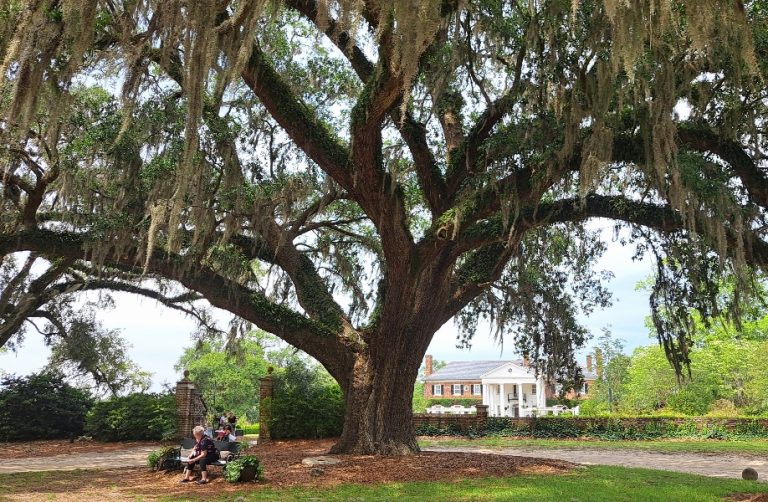 Travel with Terri to charming historic Charleston