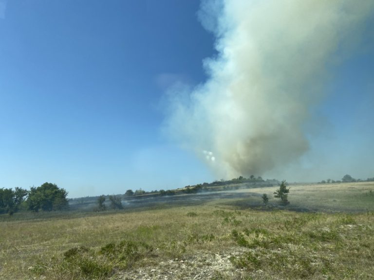 Update: 232-acre grass fire under control