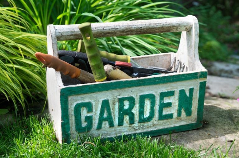 Gardening: Gifts for the green thumbs on your list