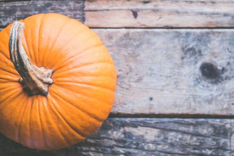 Don’t need that porch pumpkin anymore? You can donate it to local farm animals