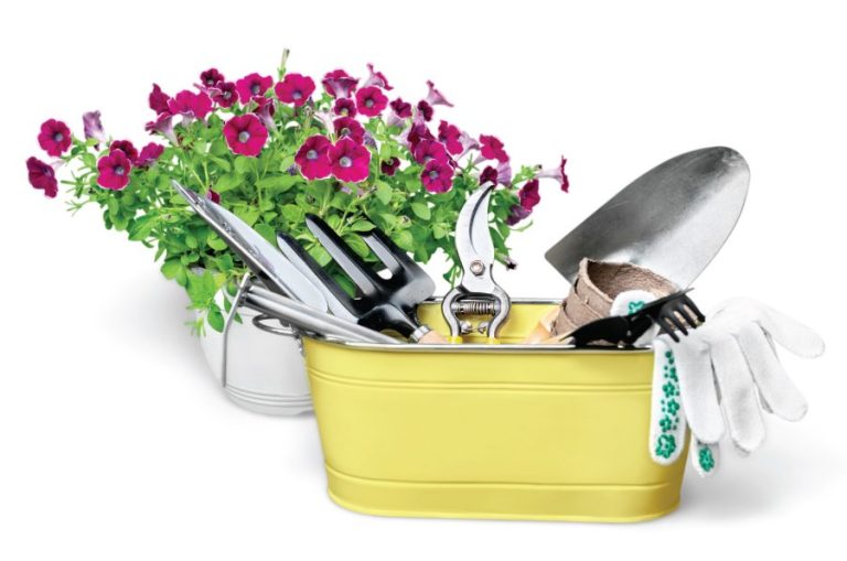 Gardening: More gift ideas for the holidays