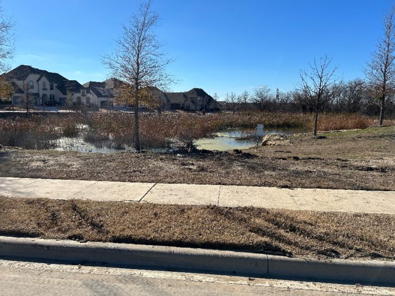 Officials identify man who died in car accident in Flower Mound pond