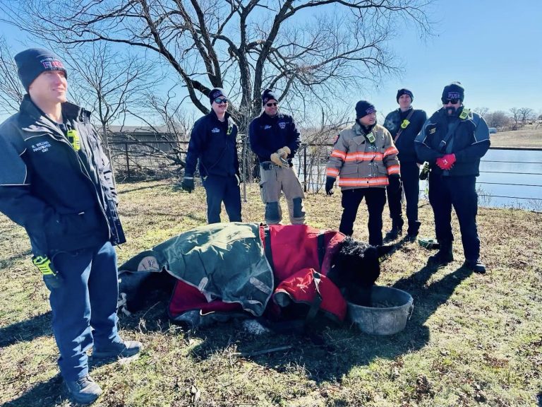 Local firefighters, councilman rescue cow from icy pond