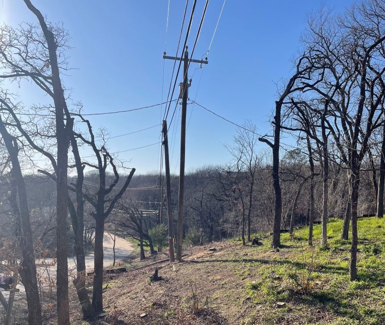 Flower Mound asks Oncor to replace trees cut down along High Road