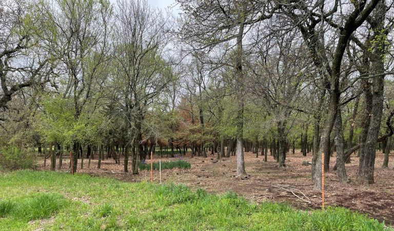 Denton County assists with preservation, access to historic cemetery